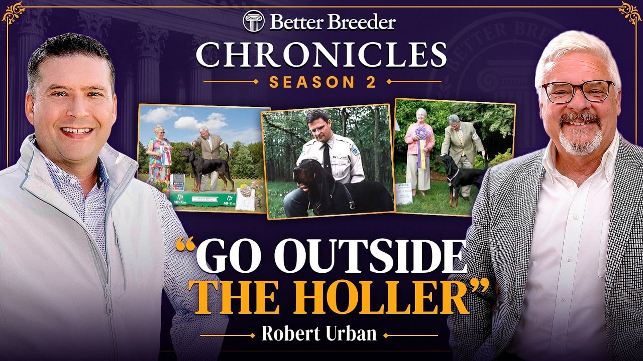 Better Breeder Chronicles Season 2 with Robert Urban and dogs.