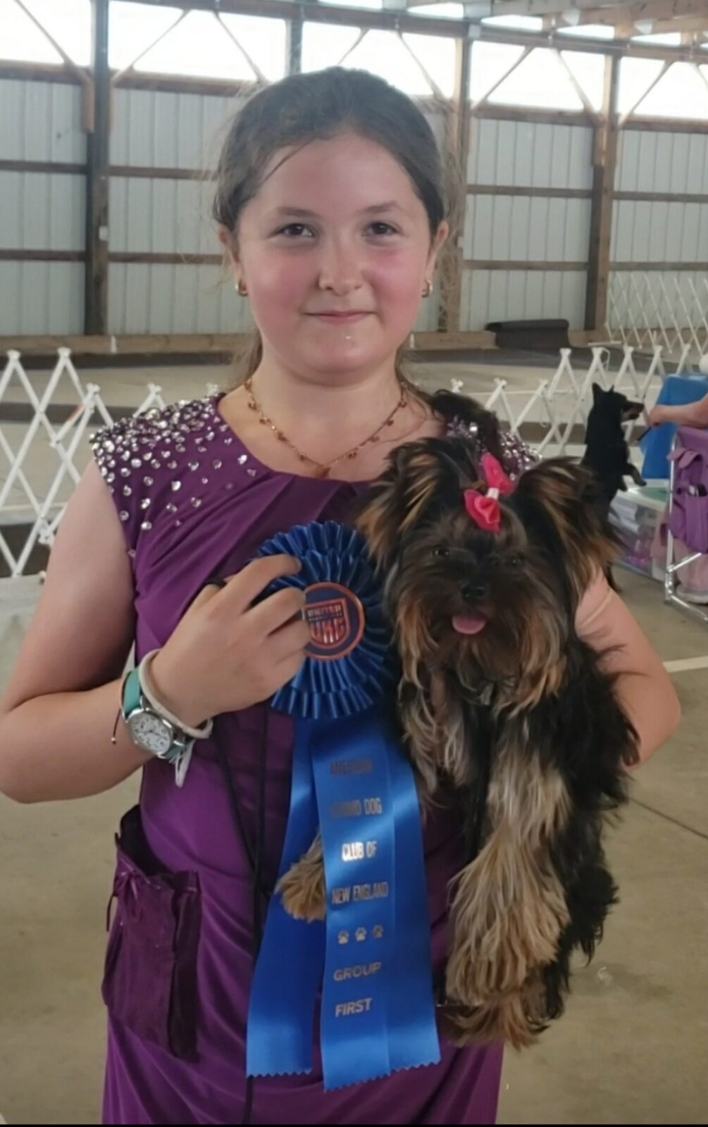 Girl holding a Yorkshire Terrier with a blue ribbon.