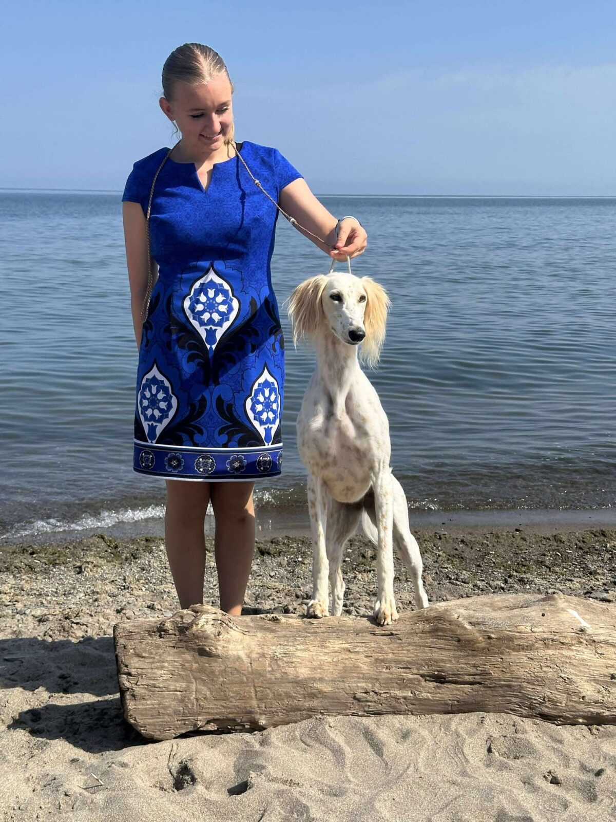 Woman in blue dress with white-spotted Saluki dog on a beach log.
