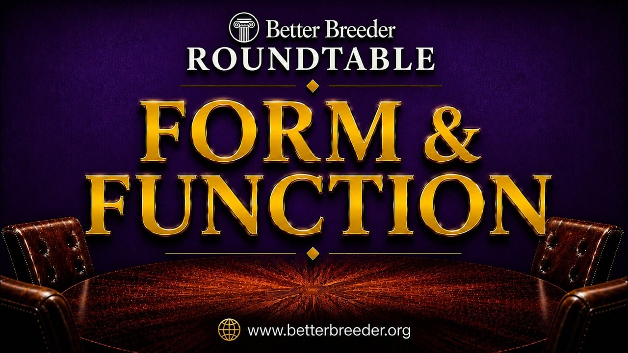 Better Breeder Roundtable: Form & Function with leather chairs and table.