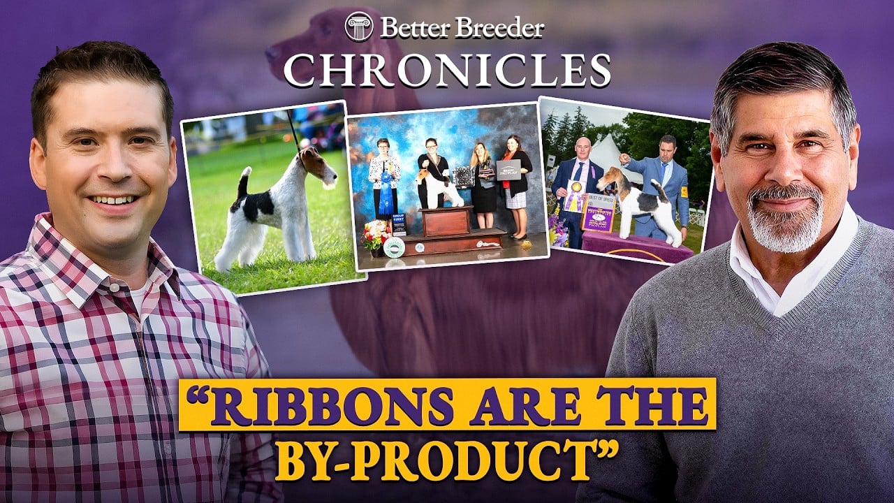 Two men with dog show images and text "Ribbons are the by-product".