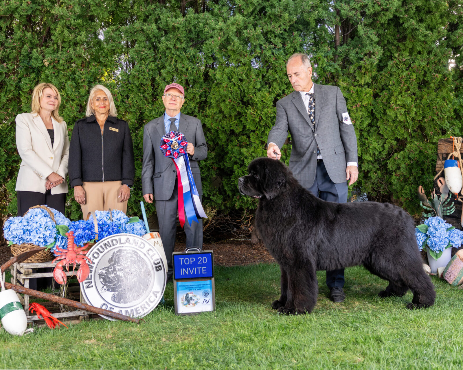 Black Newfoundland dog with handlers and awards.