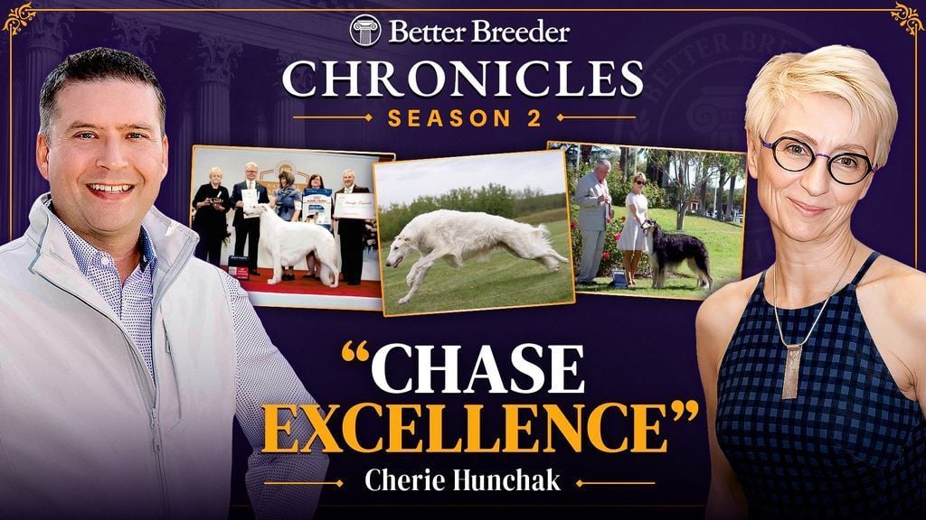 Better Breeder Chronicles Season 2 with hosts and Borzoi dogs.