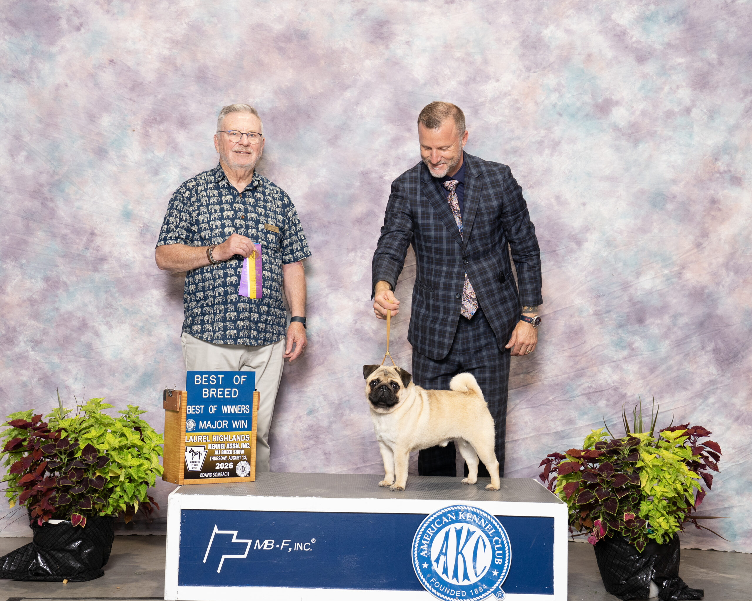 Man with pug on podium, holding ribbon and award.