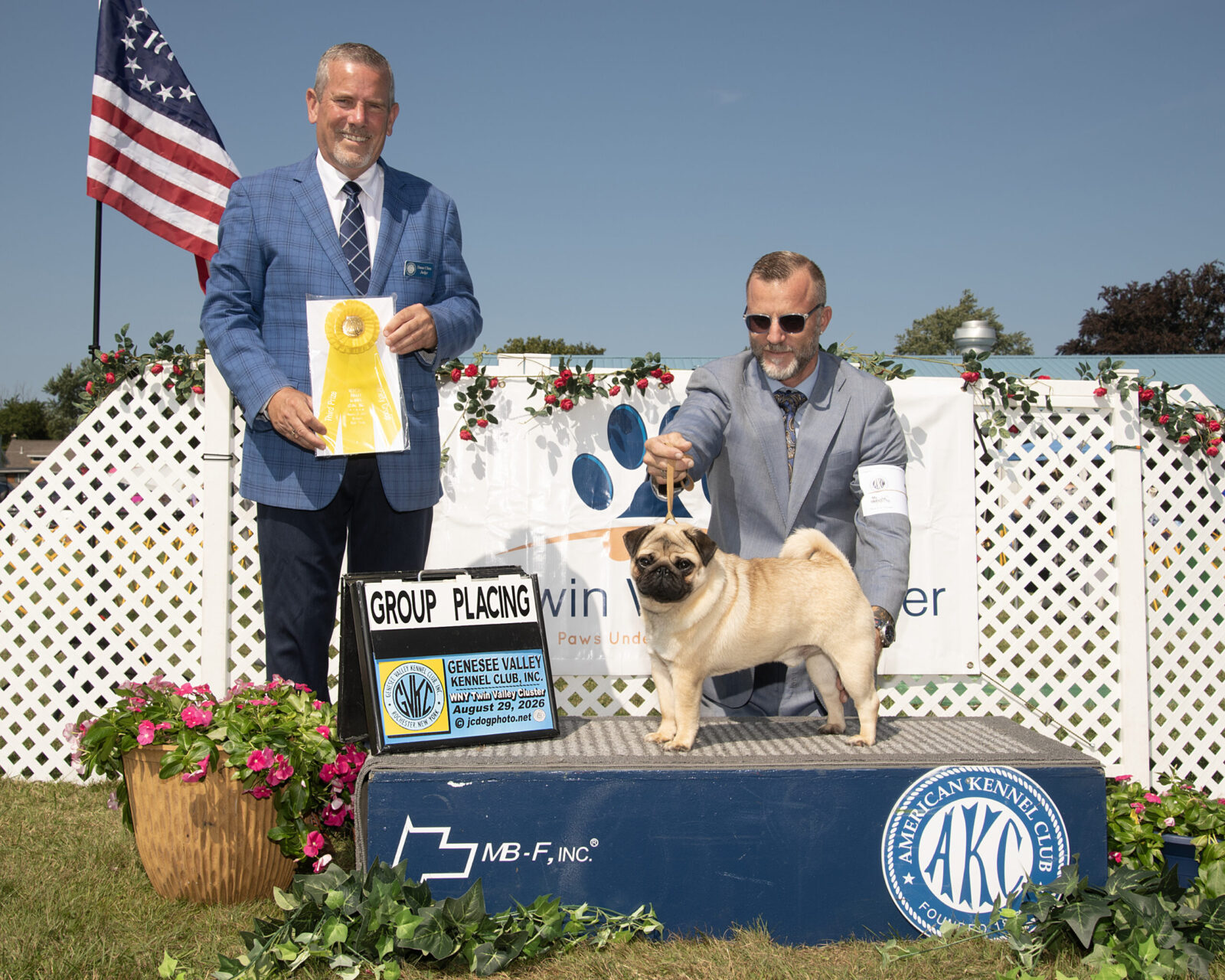 Pug on a podium with handlers and ribbons at a dog show.