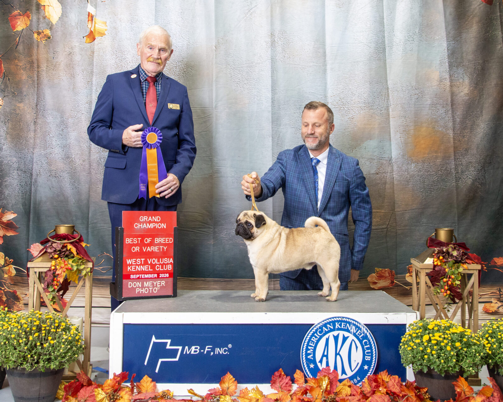 Man with pug on stage, awarded "Grand Champion" and "Best of Breed".