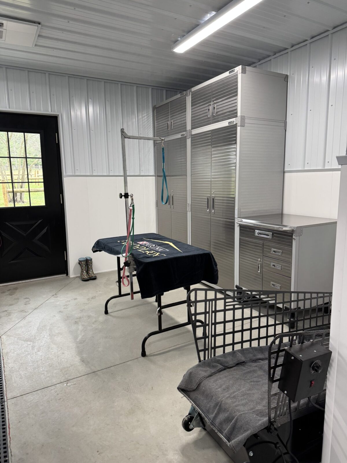 Grooming station with table, restraints, cabinets, and a dog crate.