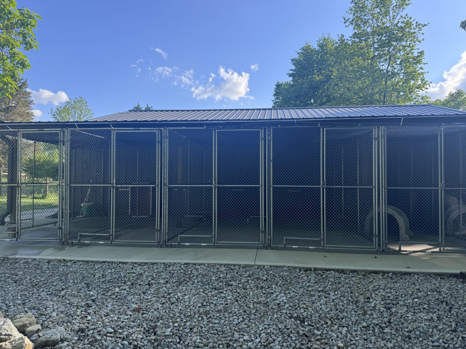 Row of outdoor dog kennels with metal roofs and chain-link fences.