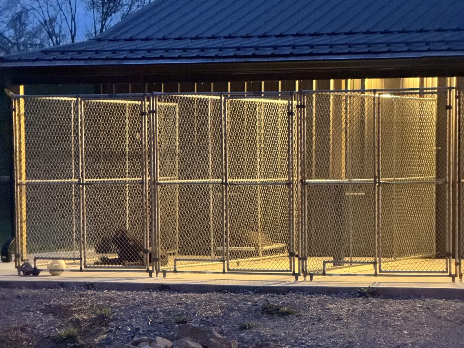 Dog kennel with a dog and ball inside, under a covered roof.