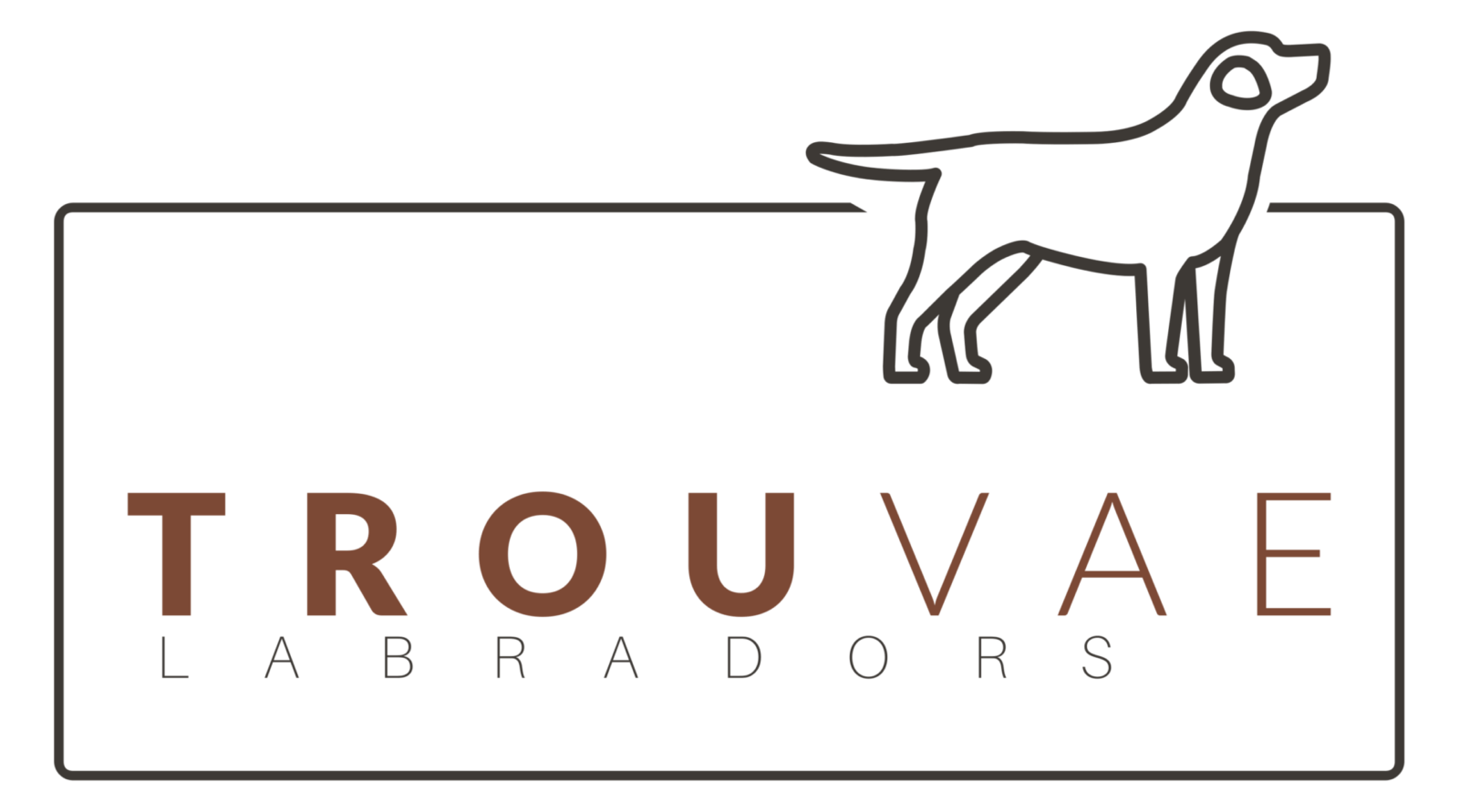 Trouvae Labradors logo with a stylized dog outline above text.