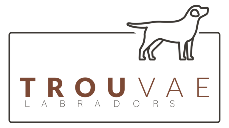 Trouvae Labradors logo with a stylized dog outline above text.