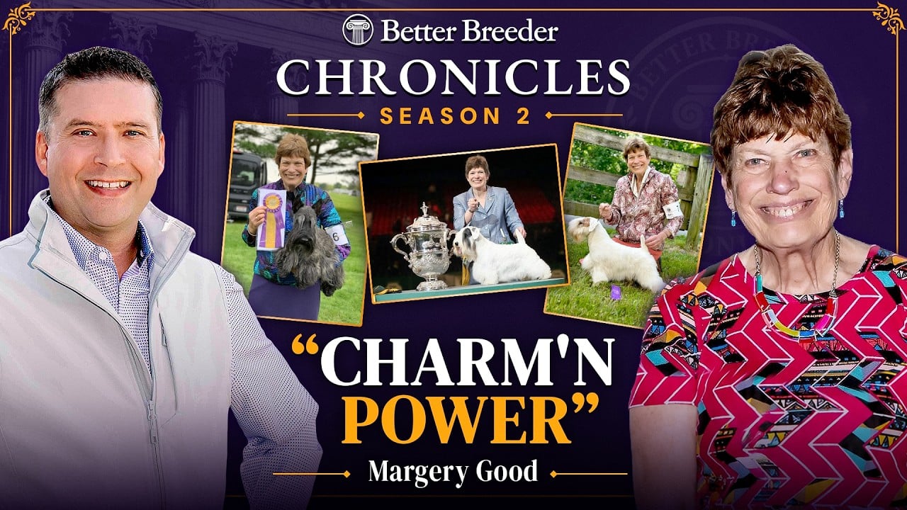 Margery Good with dogs and trophies, "Charm'n Power" title.