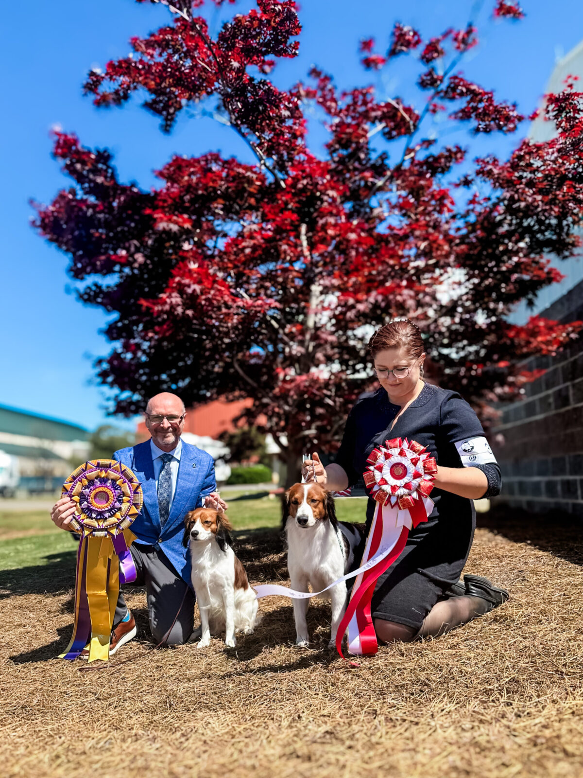 Man and woman with two dogs and ribbons under a red-leafed tree.