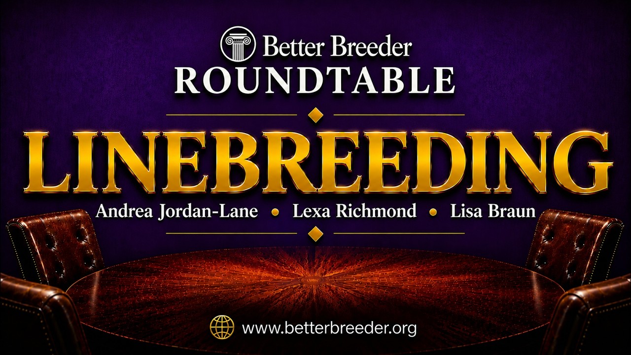 Better Breeder Roundtable: Linebreeding with Andrea Jordan-Lane, Lexa Richmond, Lisa Braun.
